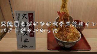 天麩羅えびのやの穴子天丼はサンプルと実物が同じでインパクトがヤバかった